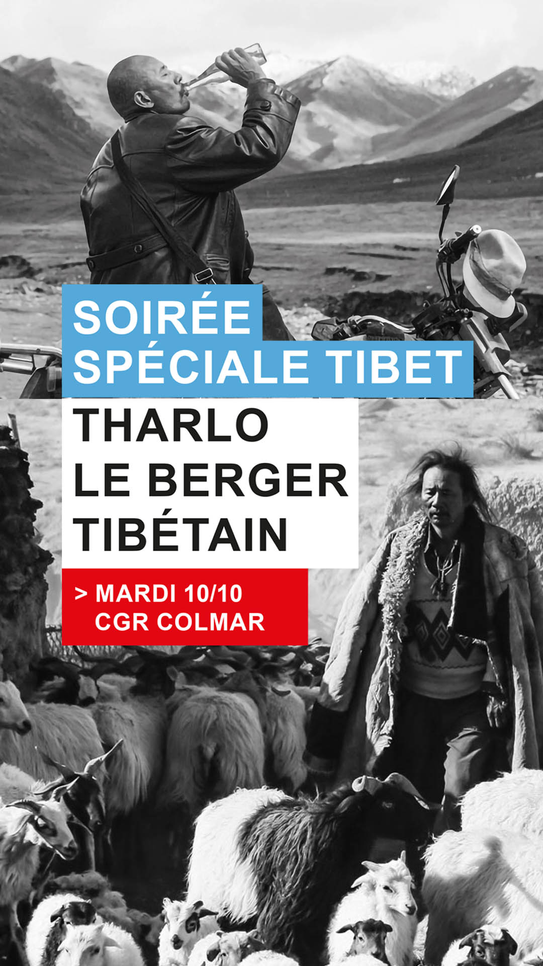 THARLO, LE BERGER TIBETAIN